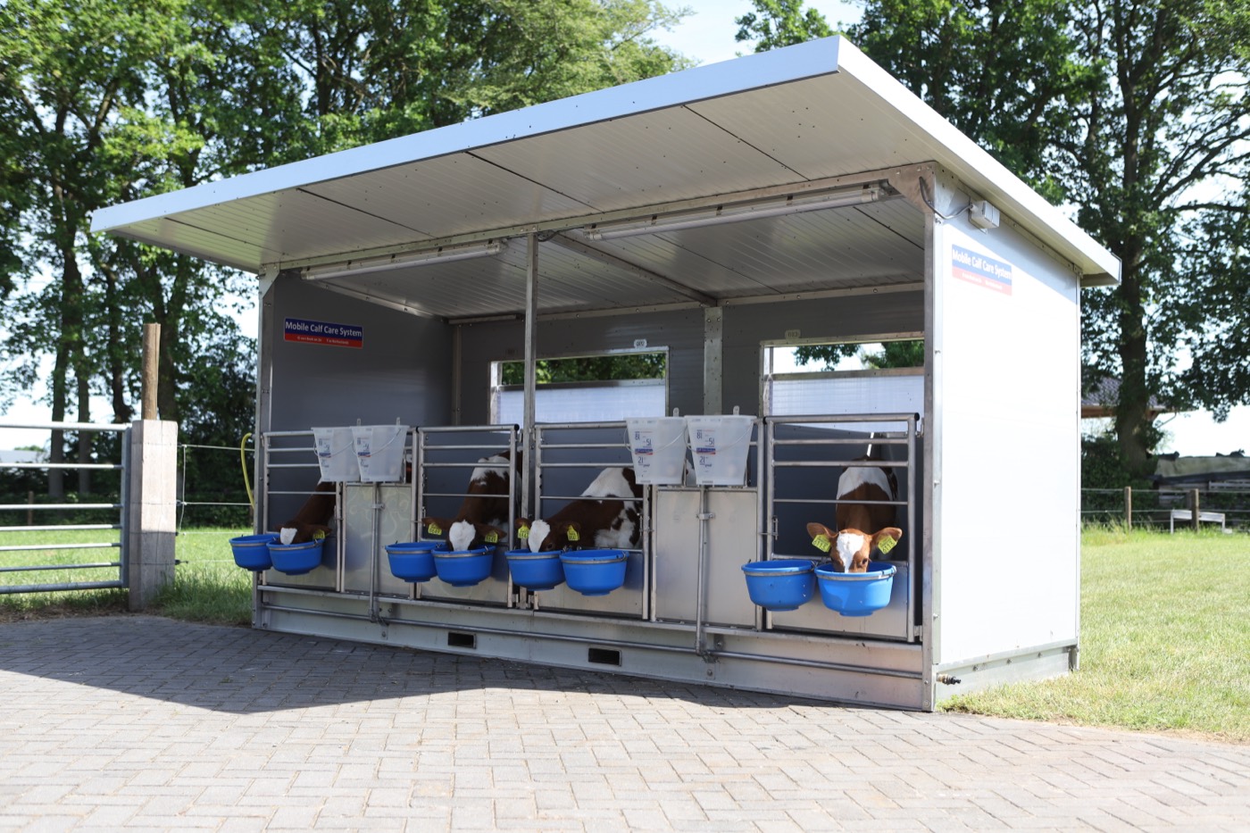 L'enclos mobile Mobile Calf Care System installé dans la cour, avec veaux